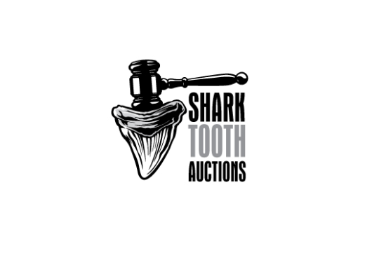 Shark Tooth & Fossil Auctions