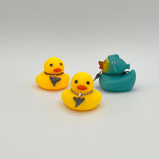 Shark Tooth Ducky - combo styles - 3 Pack