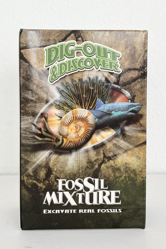 Dig Out & Discover Fossil Mixture