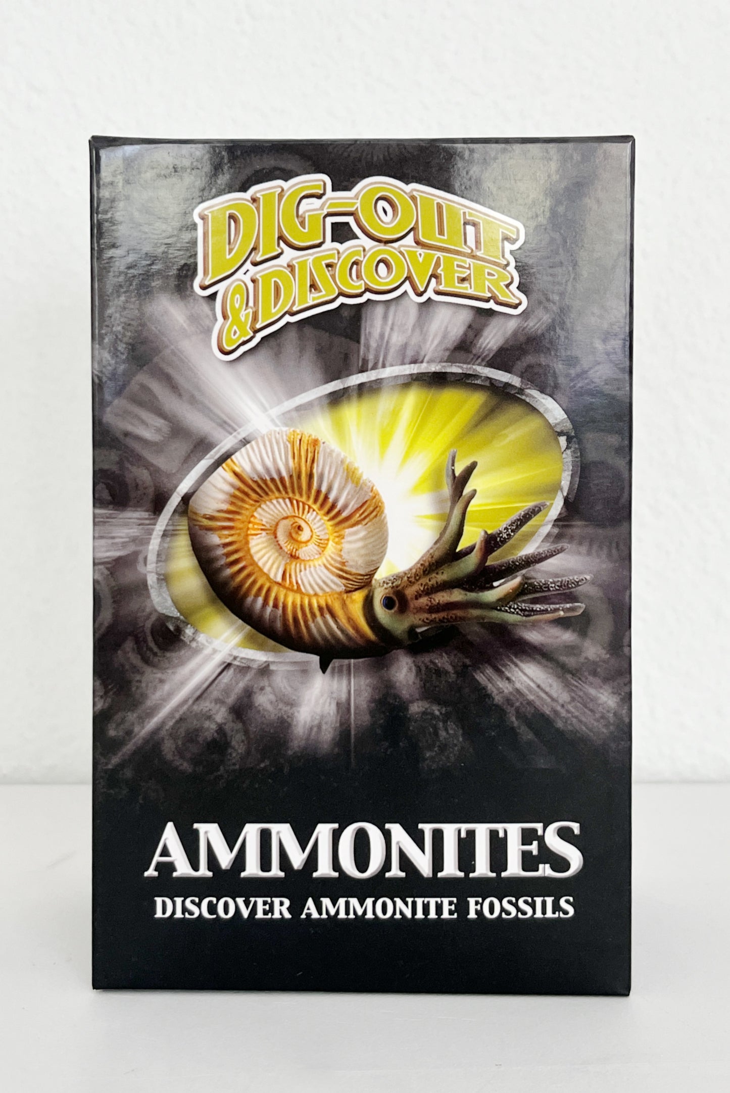 Dig Out & Discover Ammonites