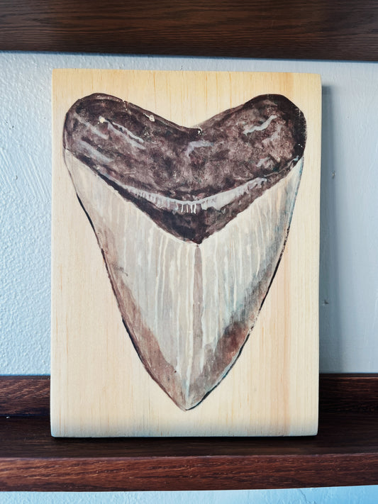 Sea B’s - Megalodon Wall Art