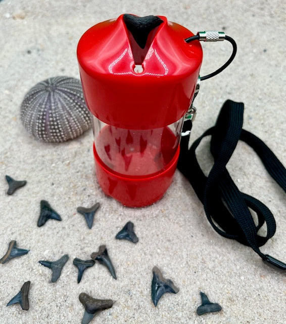 Shark Tooth Beach Collectors - Assorted Colors