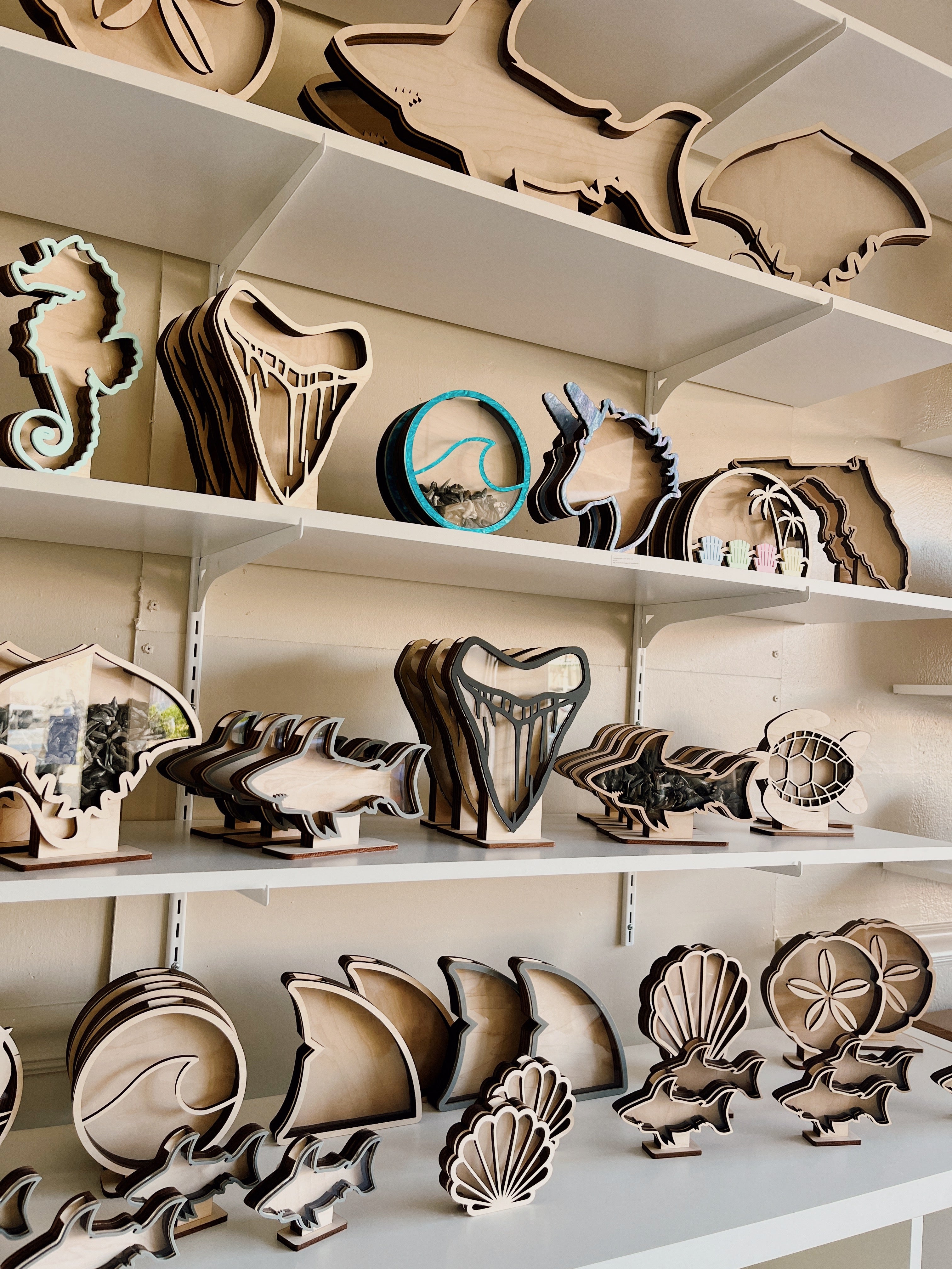 shark-tooth-holders-and-collectors-venice-fl