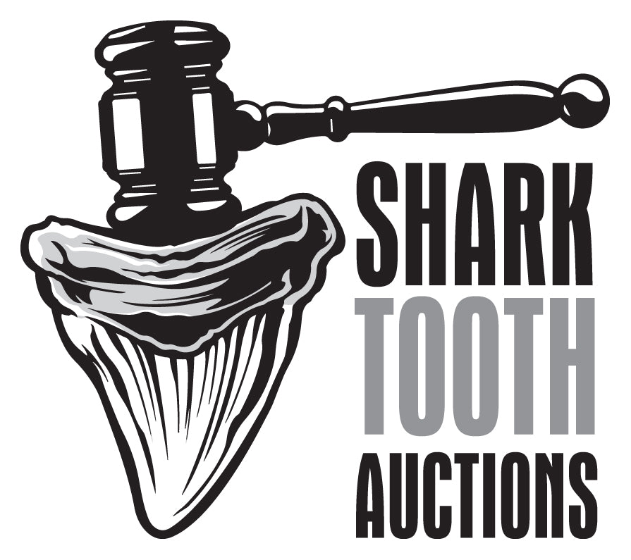 shark-tooth-auctions